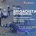 Oferta Pack de cursos: Brigadista + Soporte vital